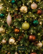 Live Decorated Tree