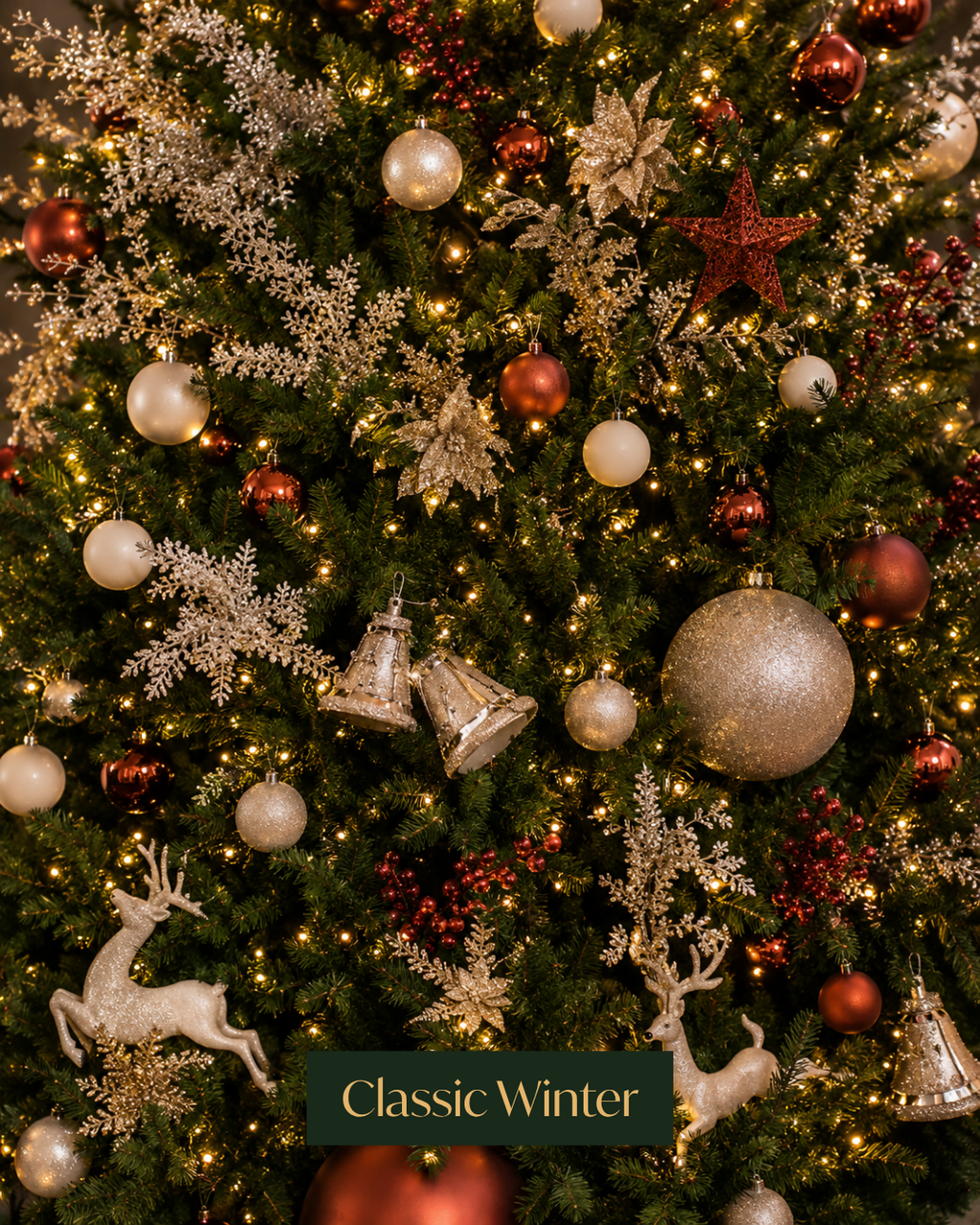 Live Decorated Tree